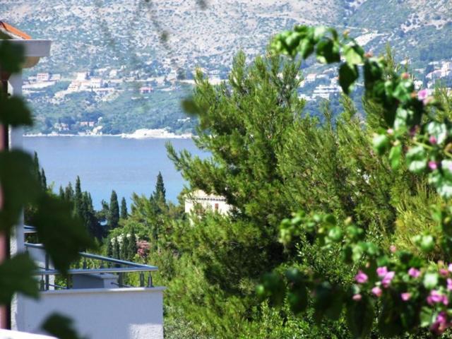 Villa Kipre 2 Cavtat Bagian luar foto